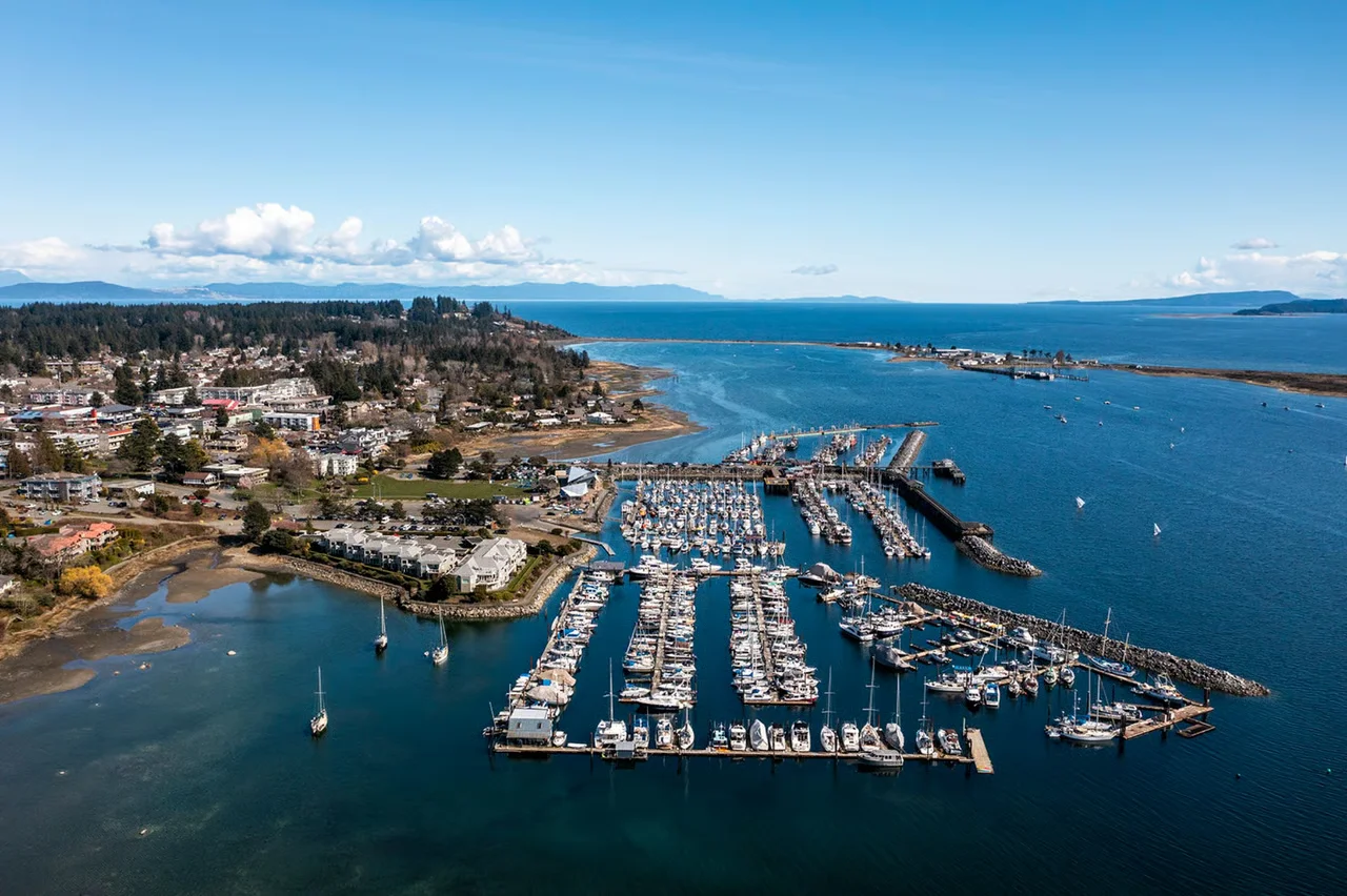 ALPHA IT technicians supporting Comox organizations