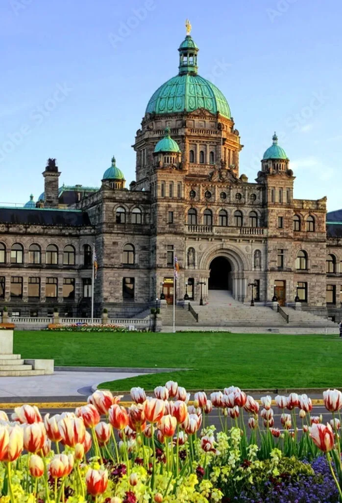 Managed IT Services for Growing Organizations